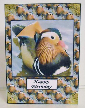The Manderine Duck by Pam Stubley