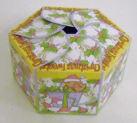 Hexagonal Box - Christmas Tweets by Pam Stubley