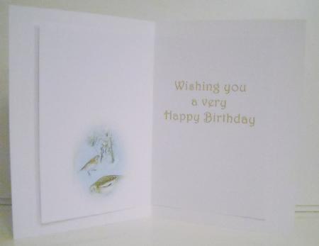 Seasonal Birds 4 Insert by Pam Stubley