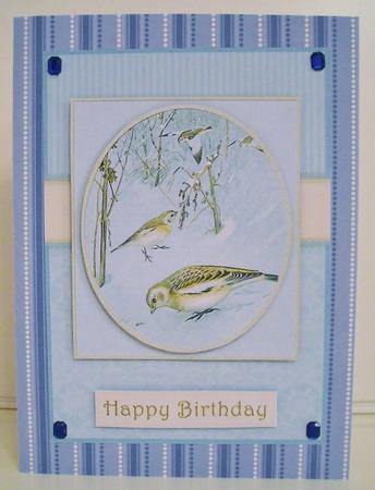 Seasonal Birds 4 by Pam Stubley