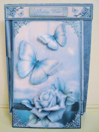 3 in 1 the Butterfly Lake by Pam Stubley