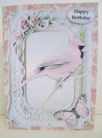 Bird Frame by Pam Stubley