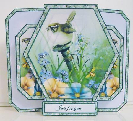 3D Double Pop-out - Little Wren by Pam Stubley