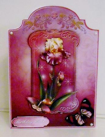 Iris Dream - Shaped Card Front with Step by Step by Pam Stubley