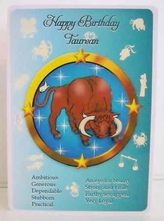 Taurus the Bull by Pam Stubley