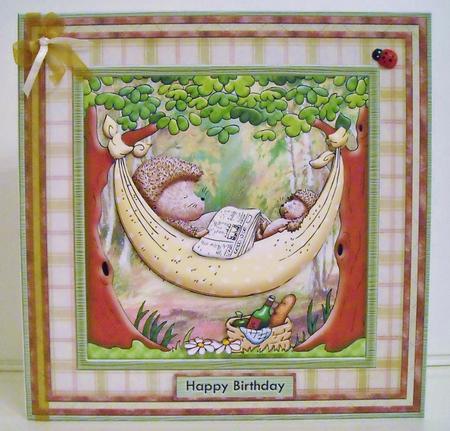 Henry's Hammock 8x8 Mini Kit & Decoupage for Men by Pam Stubley