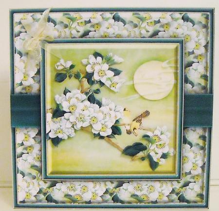 Orchids & Birds 8x8 Mini Kit by Pam Stubley