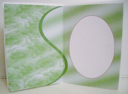 Sage Green Roses Insert 2 by Pam Stubley