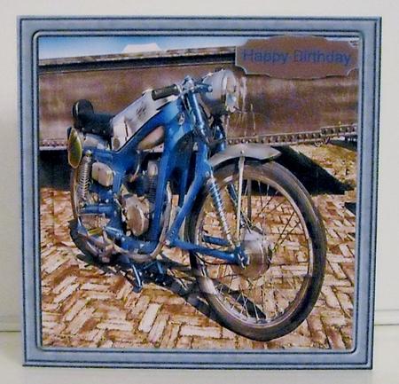 Capriola Sport Bike by Pam Stubley