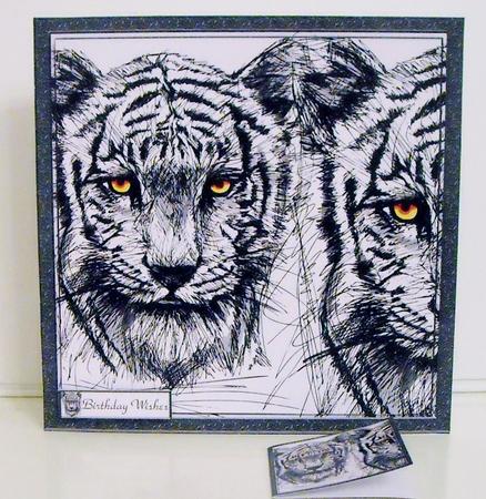 Tiger Tiger by Pam Stubley