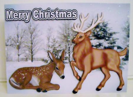 Deer and Brown Stag in the Snow by Pam Stubley