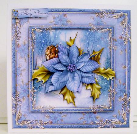 Poinsettia by Pam Stubley