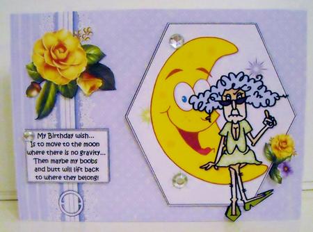 Stella Wants to Go to the Moon Quick Card by Pam Stubley