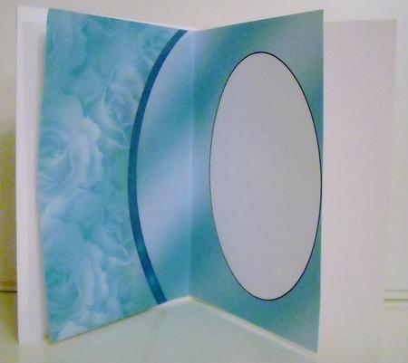 Aqua Rose Insert 1 by Pam Stubley
