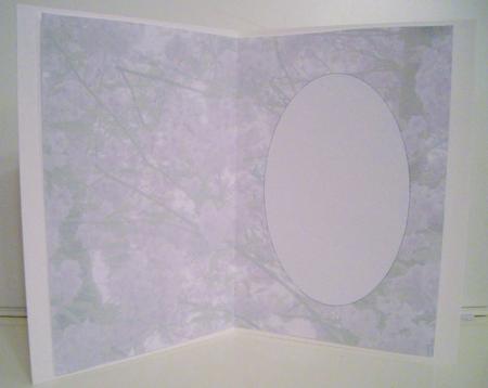 Spring Blossom Insert by Pam Stubley
