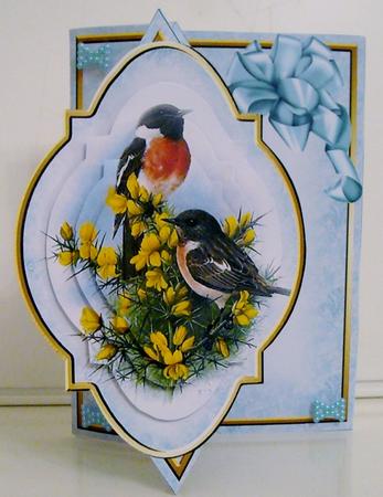 Wild Birds (2) Diamond Fold Back Card by Pam Stubley