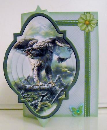 Eagle Diamond Foldback Card Kit by Pam Stubley