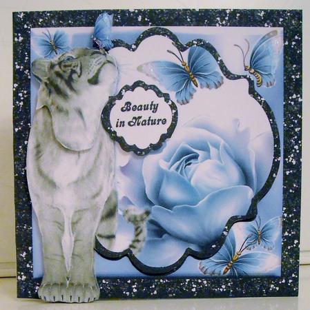 Talk to the Animals - Wild & Free by Pam Stubley