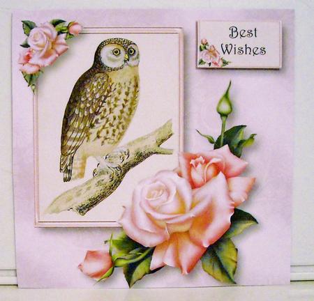 Gorgeous Owl & Edwardian Roses 8x8 Quick Topper by Pam Stubley
