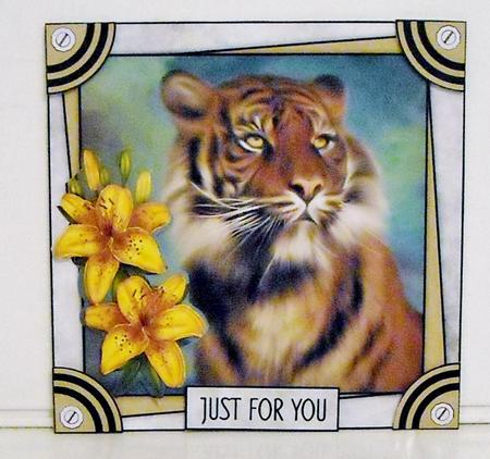 Gorgeous Tiger Male or Female Card by Pam Stubley