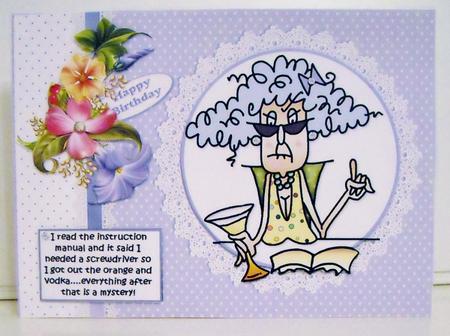 Stella Follows the Instruction Manual Quick Card by Pam Stubley