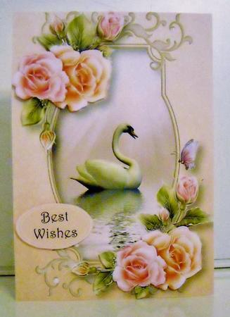 Beautiful Swan with Rosy Glow Roses A5 by Pam Stubley