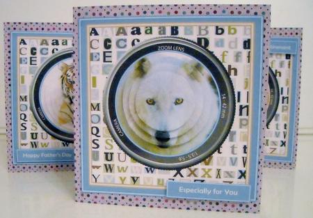 Through the Lens - White Wolf by Pam Stubley