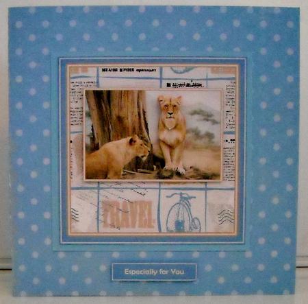 See the World - Lions by Pam Stubley