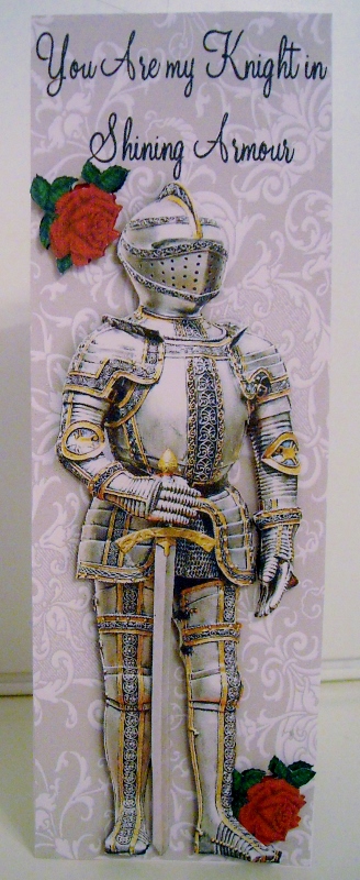 You Are My Knight in Shining Armour! Tall Dl Card by Pam Stubley