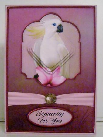 Tropique Pyramage Mini Kit by Pam Stubley