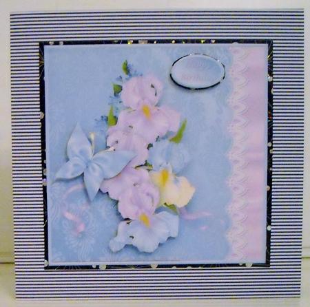 Silky Irises Lacy Border Card Front by Pam Stubley