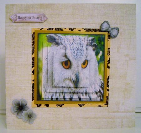 Beautiful Owl Watercolour Pyramid Topper by Pam Stubley