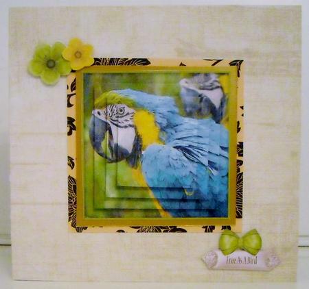 Macaw Parrot Watercolour Pyramid Topper by Pam Stubley