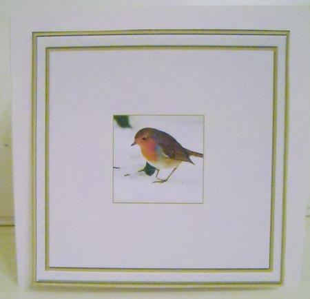 A Christmas Robin 5'' Square Insert 1 by Pam Stubley