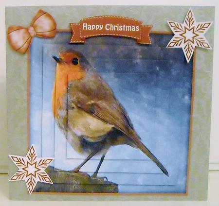 Winter Robin Watercolour Pyramid Topper by Pam Stubley