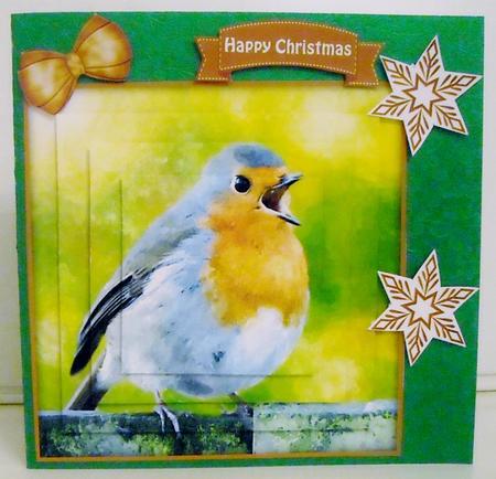 Winter Robin Watercolour Pyramid Topper by Pam Stubley