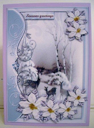 Winterview & Poinsettias by Pam Stubley