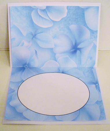 Hydrangea Insert 2 by Pam Stubley