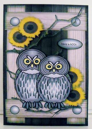 Owl Always Love You Male Card by Pam Stubley