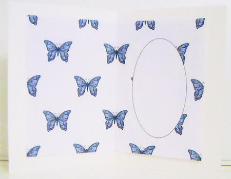Butterfly Fantasy Insert 2 by Pam Stubley