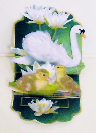 Easel Card Kit - Go On, a Swan! by Pam Stubley