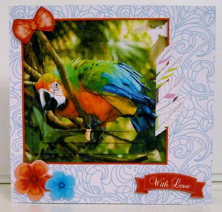 Magical Macaw Parrots Watercolour Bumper Kit by Pam Stubley