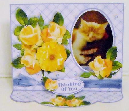 C-thru Easel 3D Card Kit - Apricot Roses & Ginger Cat by Pam Stubley