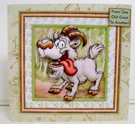 From One Old Goat to Another Birthday Ages Retirement Mini K by Pam Stubley