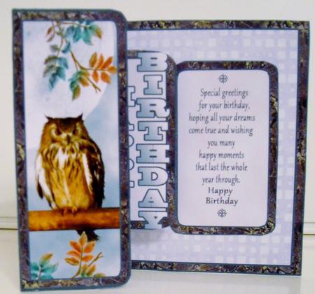 Fbp Long-eared Owl Hb by Pam Stubley