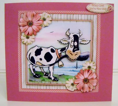 Holy Cow - you're How Old? by Pam Stubley