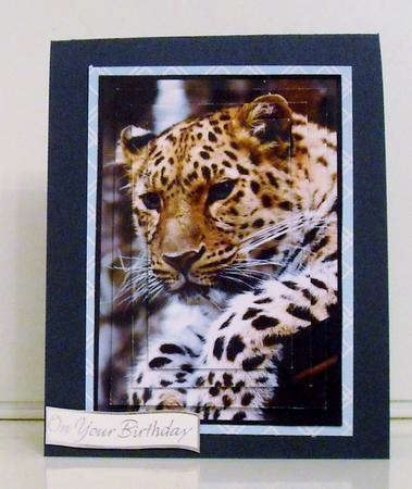 Leopard Pyramid by Pam Stubley