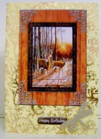 Deer by Pam Stubley