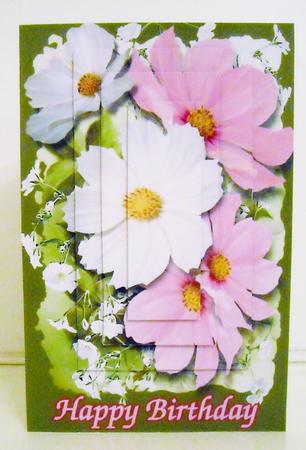 Happy Birthday Daisy by Pam Stubley