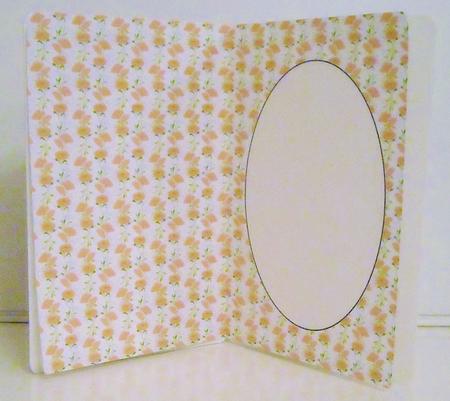 Orange Poppy Insert 3 by Pam Stubley